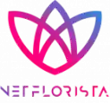 netflorista.com